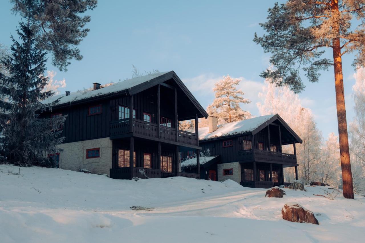 Apartment Hunderfossen Hafjell