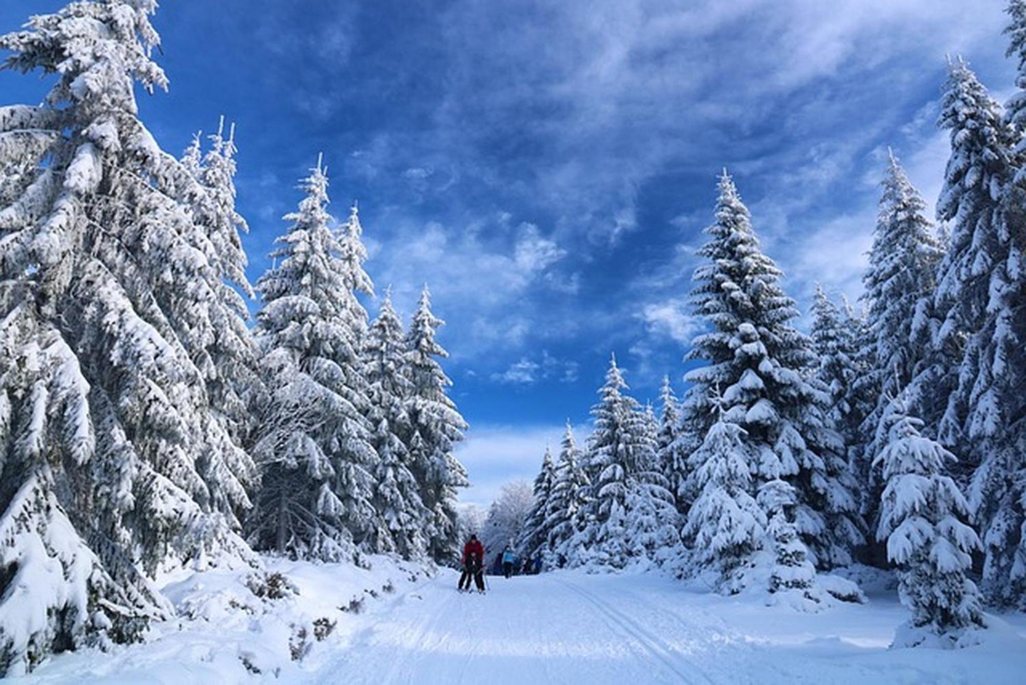 Hunderfossen Leilighet Hafjell